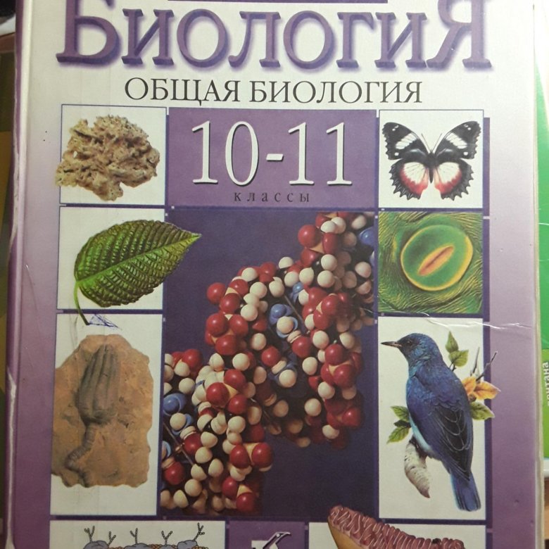 Биология 10 11 классов пасечник. Биология 10-11 класс учебник. Биология 10 класс учебник Пасечник. Биология 11 класс Пасечник. Пасечник,Каменский биология 10 класс.