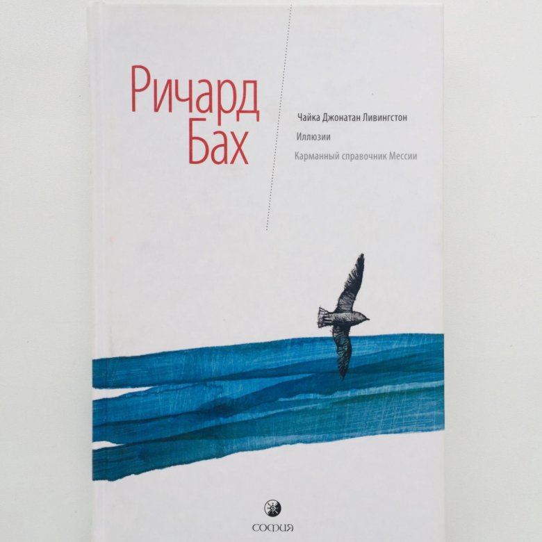 Чайка по имени джонатан ливингстон читать онлайн бесплатно полностью с картинками на русском языке