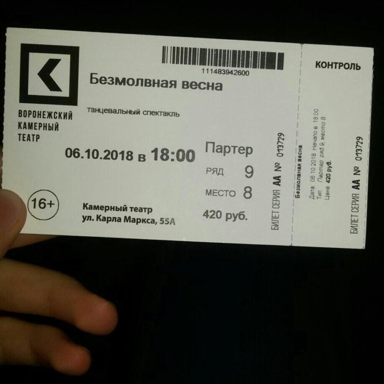 Билет в Воронеж. Билет в театр вектор.
