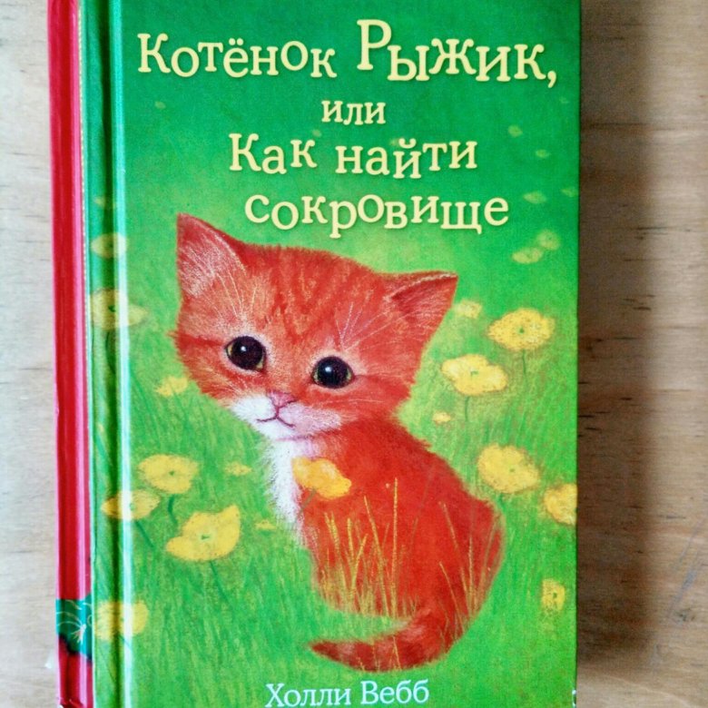 Рыжик книга. Холли Вебб котенок Рыжик. Книги Холли Вебб котенок Рыжик. Котенок Рыжик книга. Котенок с книгой.