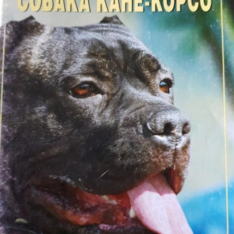 ЭЛЕКТРОННАЯ КНИГА СОБАКА КАНО КОРСО СКАЧАТЬ БЕСПЛАТНО ЭЛЕКТРОННАЯ КНИГА СОБАКА КАНО КОРСО СКАЧАТЬ БЕСПЛАТНО