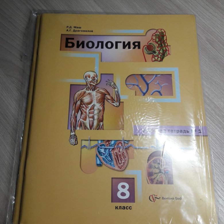 Биология 8 тетрадь. Тетрадь по биологии 8 класс. Биология 8 класс рабочая тетрадь. Рабочая тетрадь по биологии 8 класс маш. Рабочая тетрадка по биологии 8 класс.