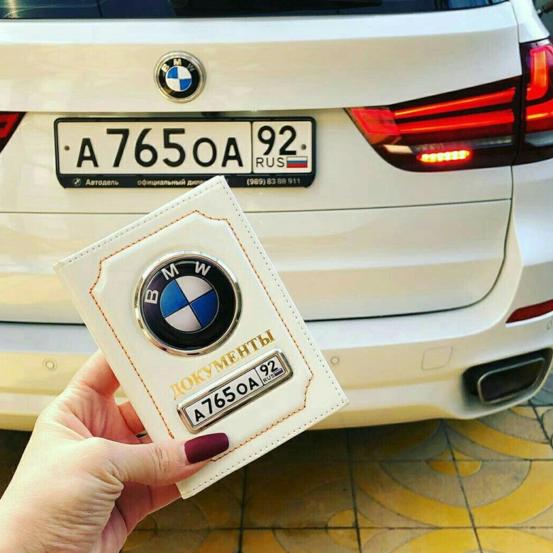 oblozhka dlya avto dokumentov s gos