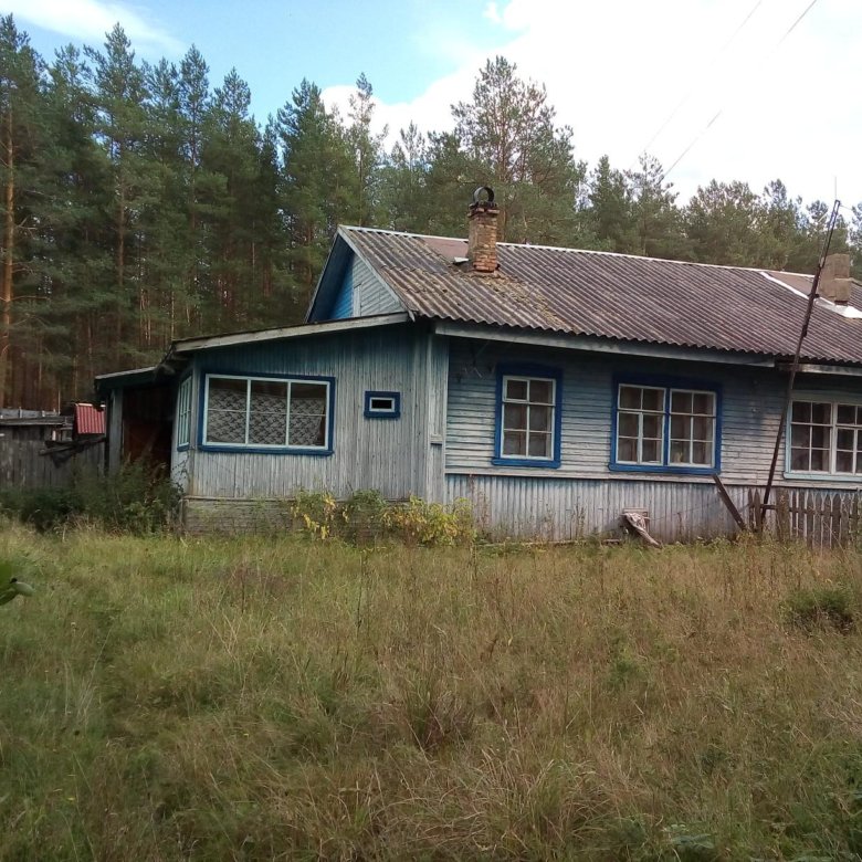 Кабожа новгородская область хвойнинский. Кабожа Новгородская область Хвойнинский район. ООО Леспромстрой Кабожа Хвойнинский район. Кабожа фото. Авито Хвойная недвижимость.