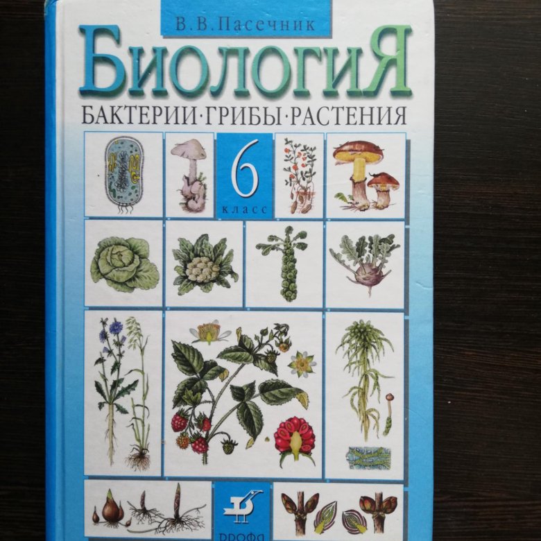 Биология учебник шестого класса. Биология. 6 Класс. Учебник. Учебник по биологии 6 класс. Биология 6 класс учебник картинки.