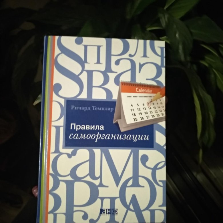 правила самоорганизации ричард темплар
