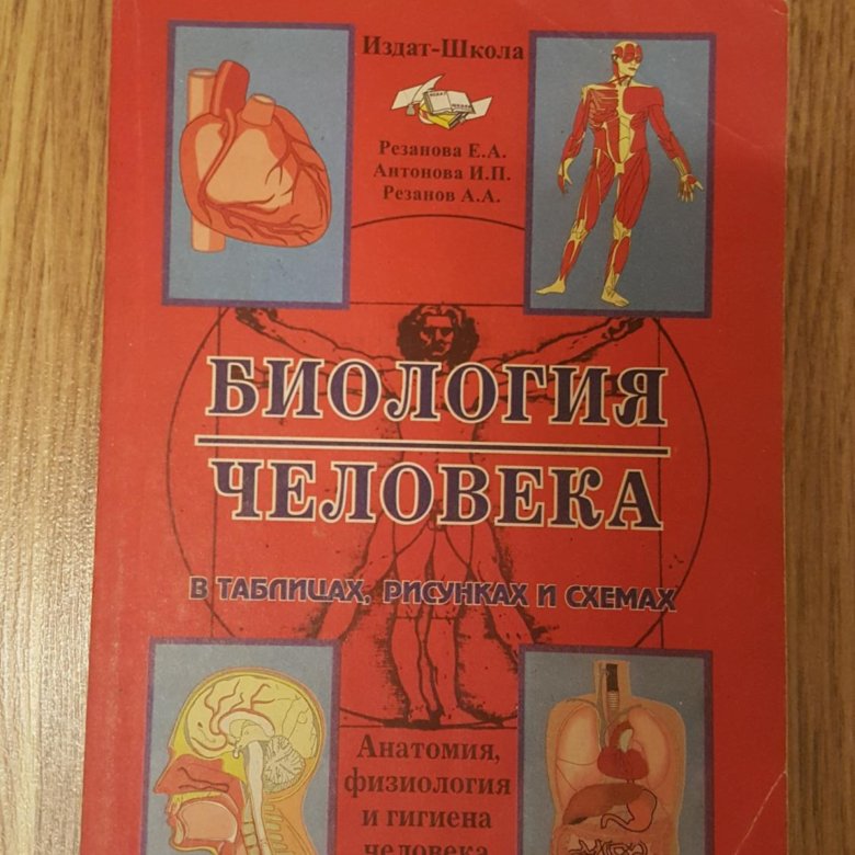 Биология человека в таблицах рисунках и схемах резанова читать