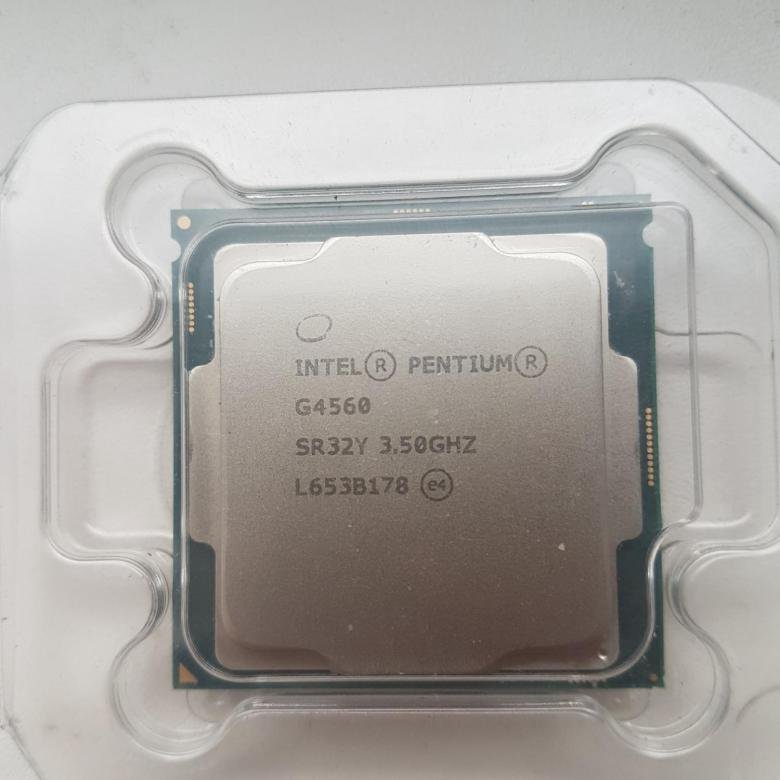 Pentium g4560. Процессор Intel Pentium g4560. Интел пентиум g4560. Intel Pentium g4560 сокет. Intel Pentium g2020.