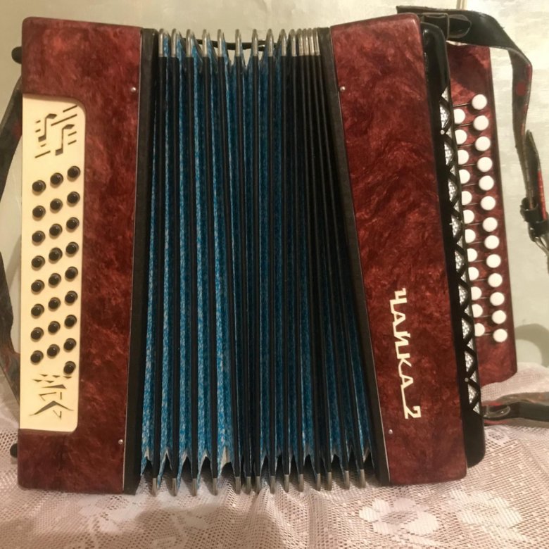 Гармонь шуя чайка 2. Чайка 2 гармонь зеленая. Чайка 2 гармонь зеленая. Гармонь чайка или чайка 2. Аккордеон чайка 2.
