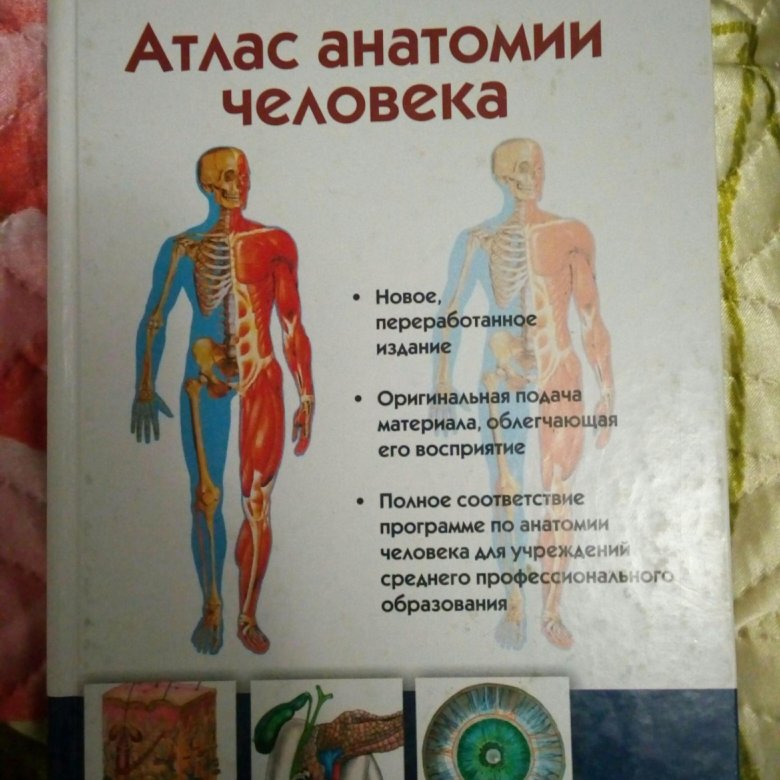 Самусев атлас анатомии. Большой атлас анатомии человека. Анатомический атлас для школьников. Виртуальный атлас анатомии человека. Атлас анатомии человека приложение.