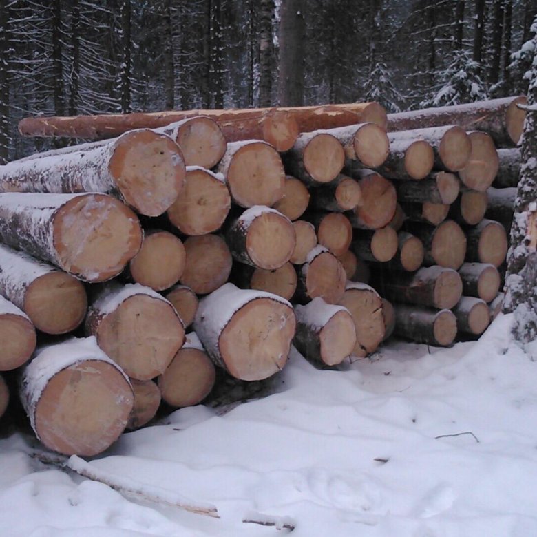 Строевой лес. Срубовой лес. Скупка леса. Ровный срубный лес сосна ель.