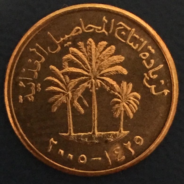 Dubai coin. 1 Филс ОАЭ. Филс монета. Монеты ОАЭ. Филсы ОАЭ монеты.