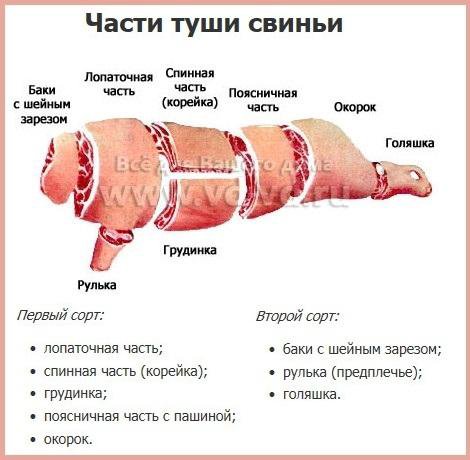 Разделка поросенка. Схема разруба туши свиньи. Классическая схема разруба свиной туши. Схема разделки свиной туши с названиями. Разделка туши свиньи схема с названием частей.