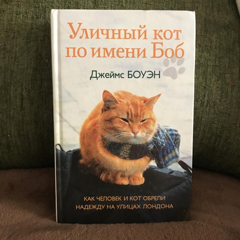 Кот боб книга. Кот по имени Боб книга. Обложка книги кот по имени Боб. Уличный кот Боб книга. Уличный кот по кличке Боб книга.