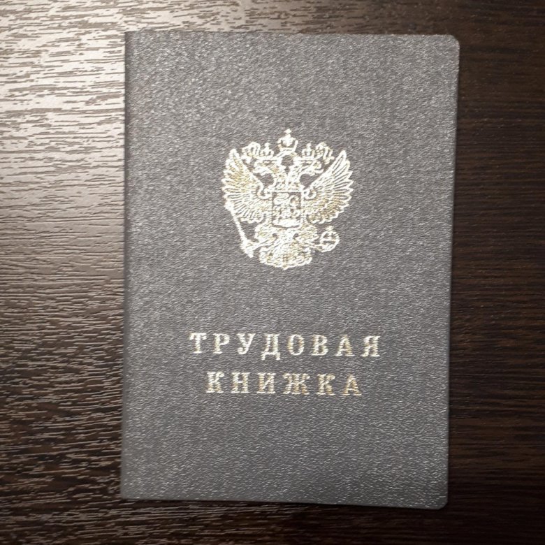 Трудовая книжка смешная картинка