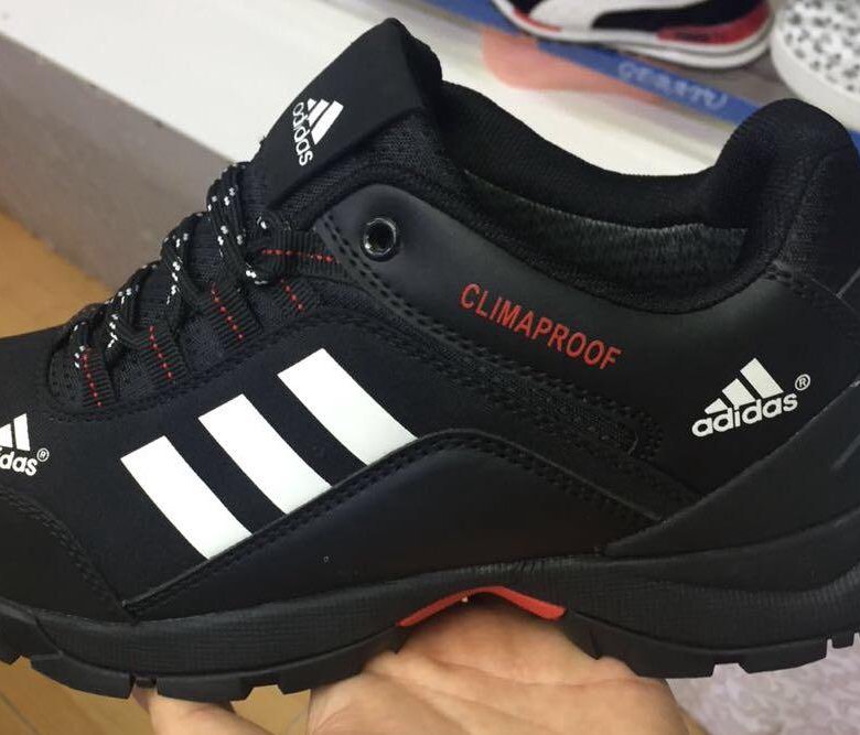 Р‘РѕС‚РёРЅРєРё adidas Terrex Climaproof 2019