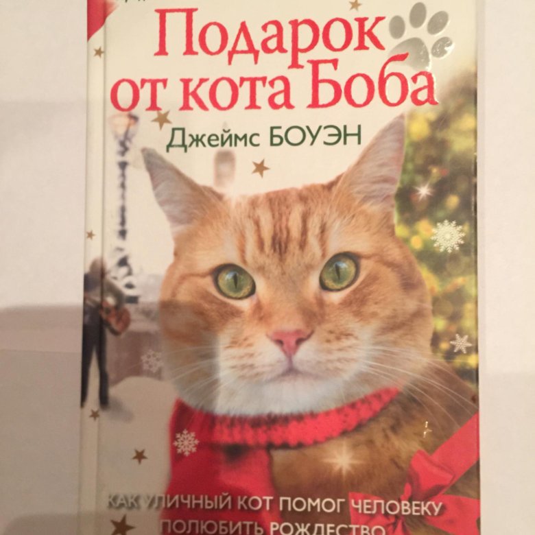 Кот боб книга. Джеймс Боуэн подарок от кота Боба. Рождество кота Боба книга. Подарок от кота Боба книга. Джеймс Боуэн «подарок от кота Боба» детям.