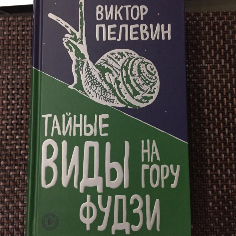 Пелевин тайны горы фудзи. Пелевин тайные виды на гору Фудзи. Тайные виды на гору Фудзи книга.