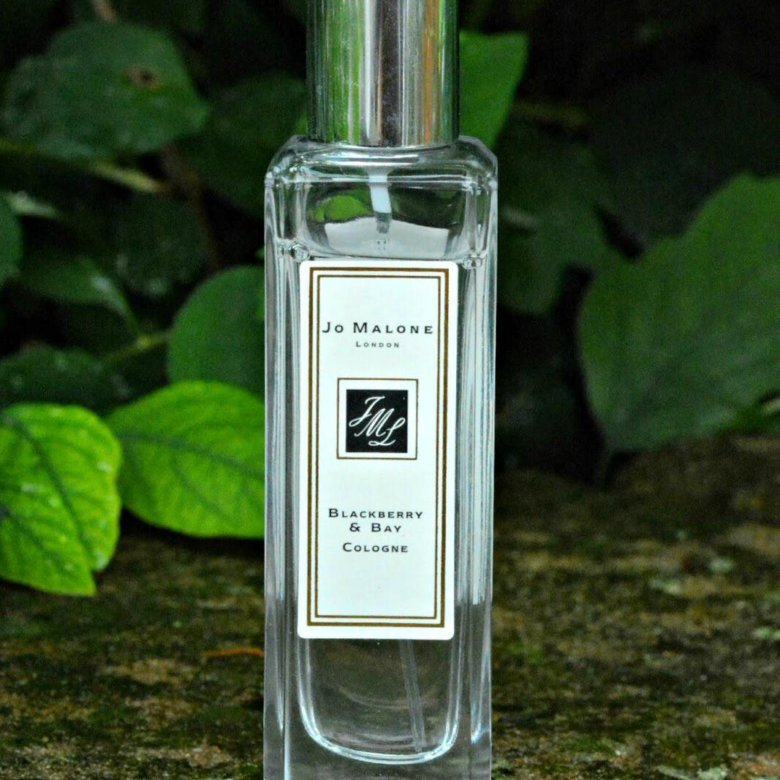 Jo malone bay. Джо Малон духи блэкберри. Джо малоне ежевика. Духи Джо Малон ежевика. Jo Malone BLACKBERRY & Bay 25 ml.