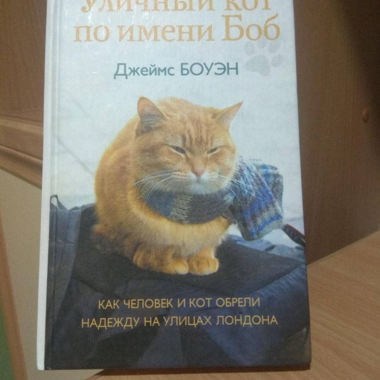 Читать книгу кот боб. Кот по имени Боб книга. Уличный кот по имени Боб. Уличный кот по имени Боб продает журналы. Читать кот по имени Боб Возраст.