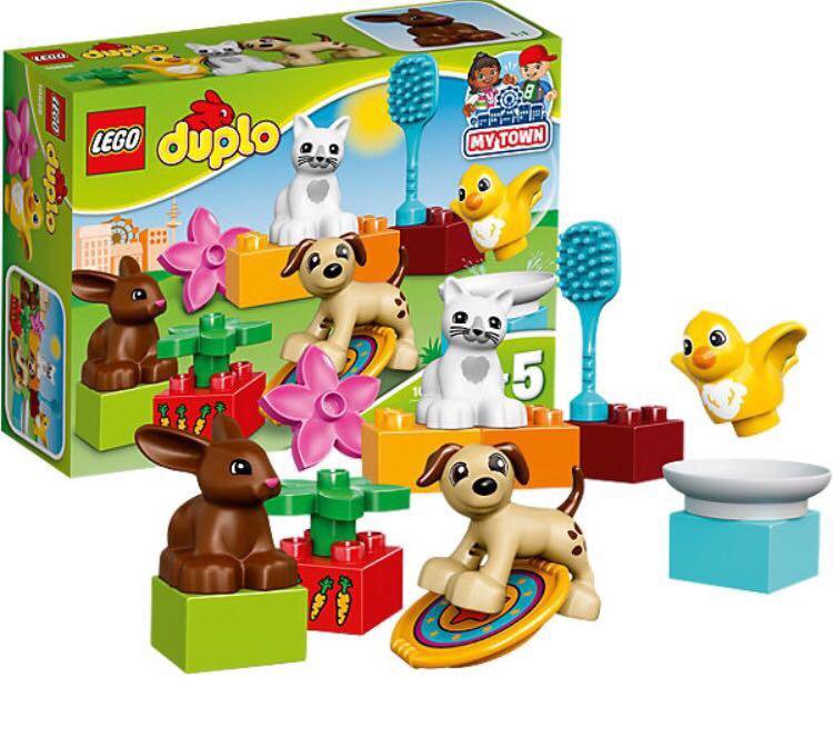 Собака дупло. Собака дупло. Собака застряла в дереве. Собака в дупле дерева. Собака дупло.