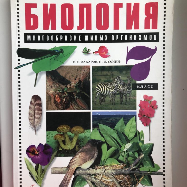 Учебник по биологии 7 класс. Биология. 7 Класс. Учебник. Биология 7 КЛАССУЧЕ. Ник. Ученик по биологии 7 класс.