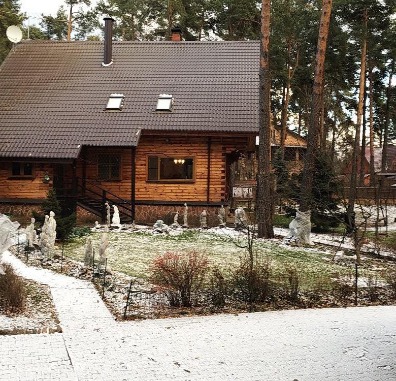 Дом в малаховке. Малаховка дома. Черников дом Малаховка. Дом для фотосессии д Малаховка. В Малаховке участки с елками.