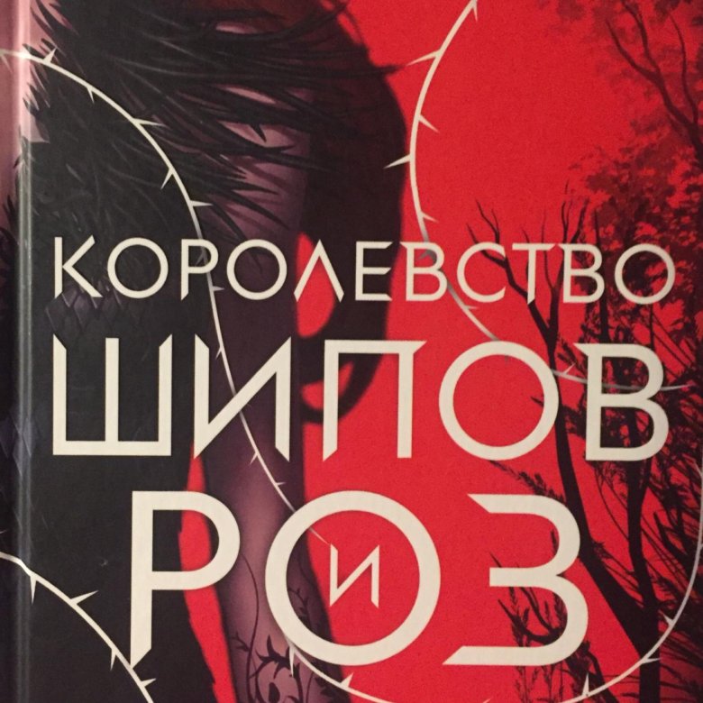 королевство ш пов и роз книга. аудиокнига шипы и розы. аудиокнига шипы и розы. стрелки кассета шипы и розы. шипы из роз книга.