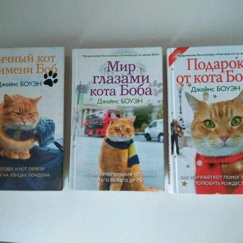 Кот боб книга. Уличный кот по имени Боб все книги. Кот Боб тайна уличного кота. Приключения кота Боба книга.