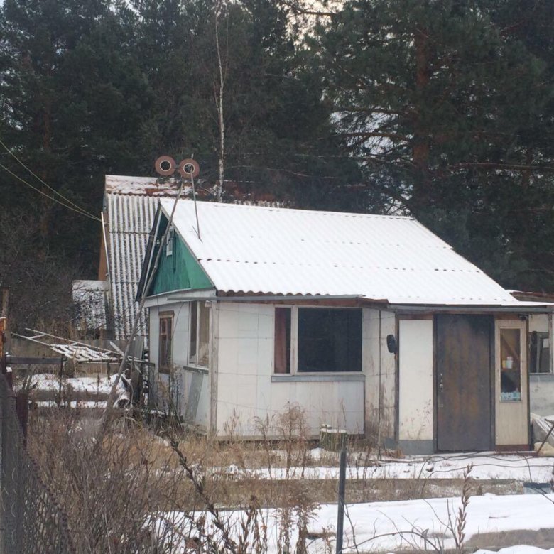 Дома дачи пенза. Дача сдт Дизелист победа. Лес дача Пенза. Дачи в Пензе Железнодорожный район. СНТ Дизелист Ярославль.