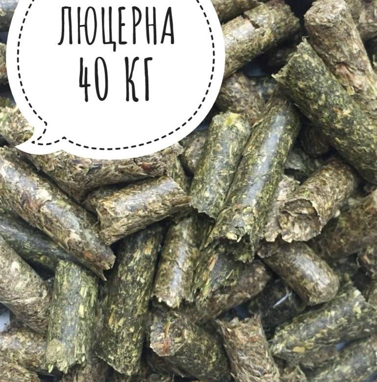 Люцерна сено для коров. Люцерна трава сено. Люцерна для лошадей. Втм люцерна. Люцерна для лошадей.