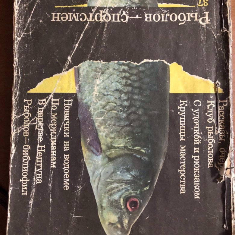 Гороскоп рыбы на завтра 2023. Гороскоп рыбы на завтра 2023. Предсказание для рыб в 2023. Рыба 2023. Гороскоп на 2023 год.