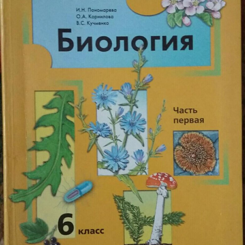 Биология 6 учебник читать пономарева. Биология 4 класс. Биология 4 класс учебник. Биология 6 класс учебник желтый. Учебник биологии 6 класс Пономарева Николаев.