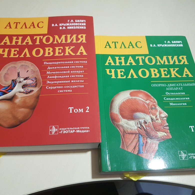 Атлас анатомии человека билич г л. Атлас Билич Крыжановский. Анатомический атлас Билич. Билич Крыжановский анатомия. Билич Крыжановский анатомия 1 том.