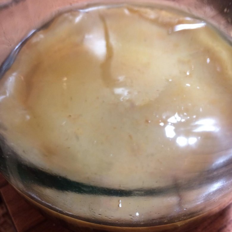 Чайный гриб ВКУСВИЛЛ. Белый чайный гриб. Корейский чайный гриб. Чайный гриб в упаковке. Можно пить чайный гриб при сахарном диабете