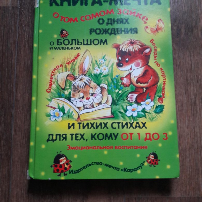 Книжка мечта. Книга о том самом зайке мечта. Детская книга про мечту. Зайчик игра книга. Книга по игре зайчик купить.