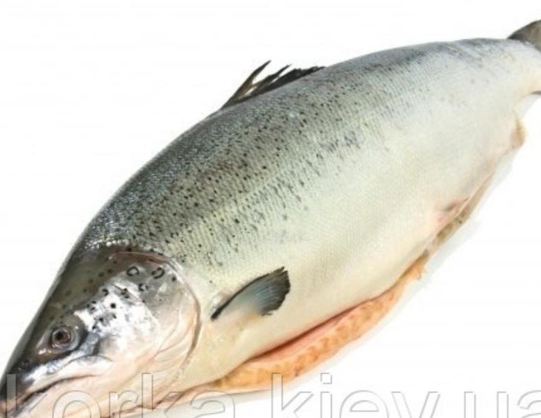 Семга свежемороженная чили. Стейк из семги вес одного. Семга псг 4-5. Вес лососёвых. Стейк лосося вес.