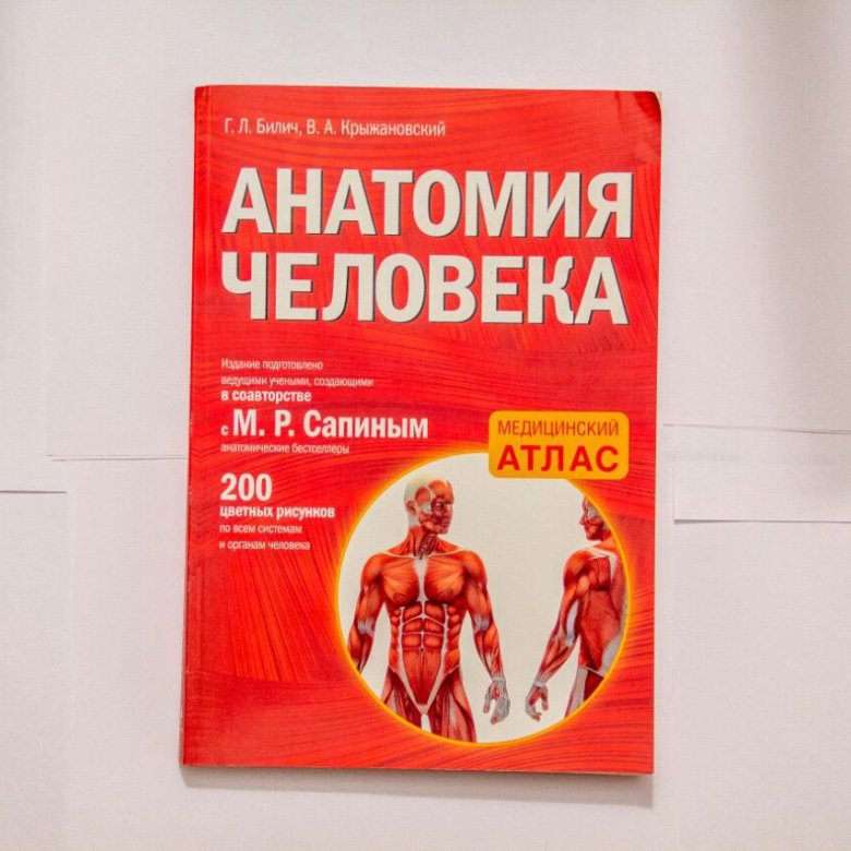 Атлас анатомии человека билич крыжановский 1 том. Атлас анатомии билич крыжановский. анатомия человека билич. атлас по анатомии билич. билич крыжановский атлас картинки.
