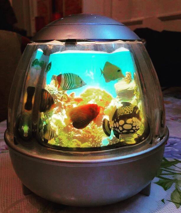 Лампа в виде аквариума с плавающими рыбками –  , цена 1 .