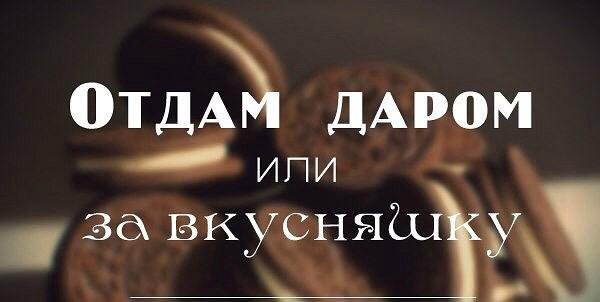 Отдам вещи иркутск