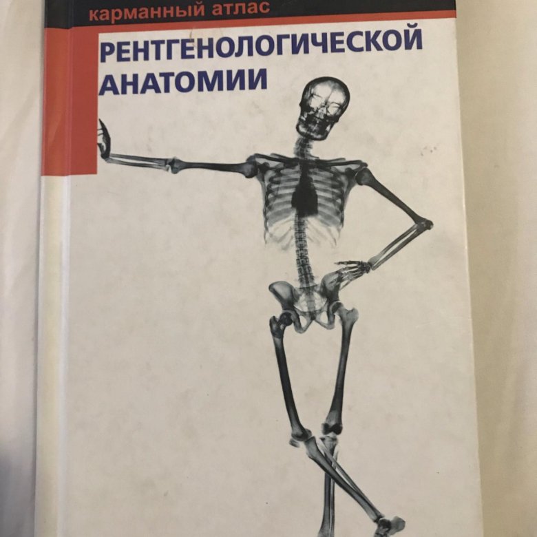 С анатомическим карманом
