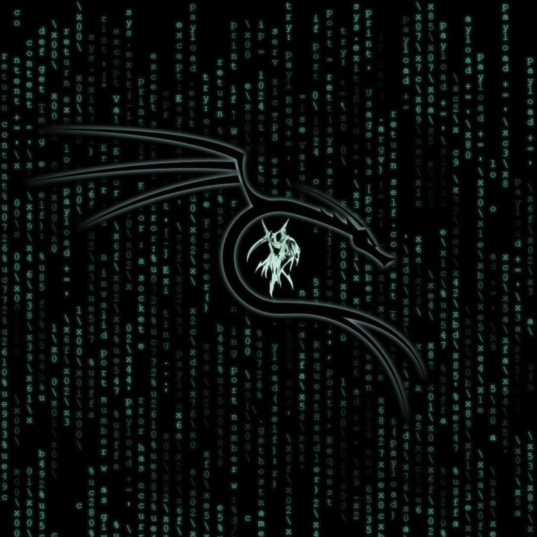 Kali linux nvidia. Кали линукс. backtrack kali linux. kali linux обои.