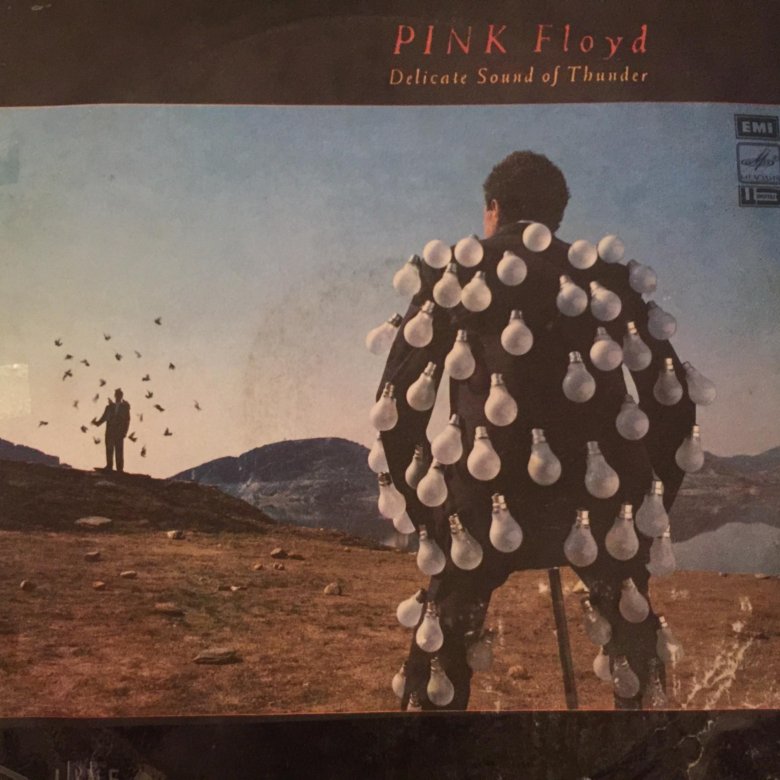 Пинк флойд оригинал. Пластинка Пинк Флойд. Pink Floyd delicate Sound of Thunder. Pink Floyd-delicate Sound of Thunder СССР. Pink Floyd Vinyl.