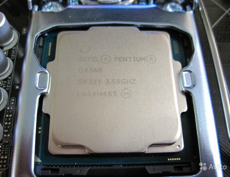 Intel g4560. Intel Pentium Dual-Core g4560. Процессор Intel g4560 OEM. Процессор Intel Pentium g4560 3.50GHZ. Intel(r) Pentium(r) CPU g4560 @ 3.50GHZ.