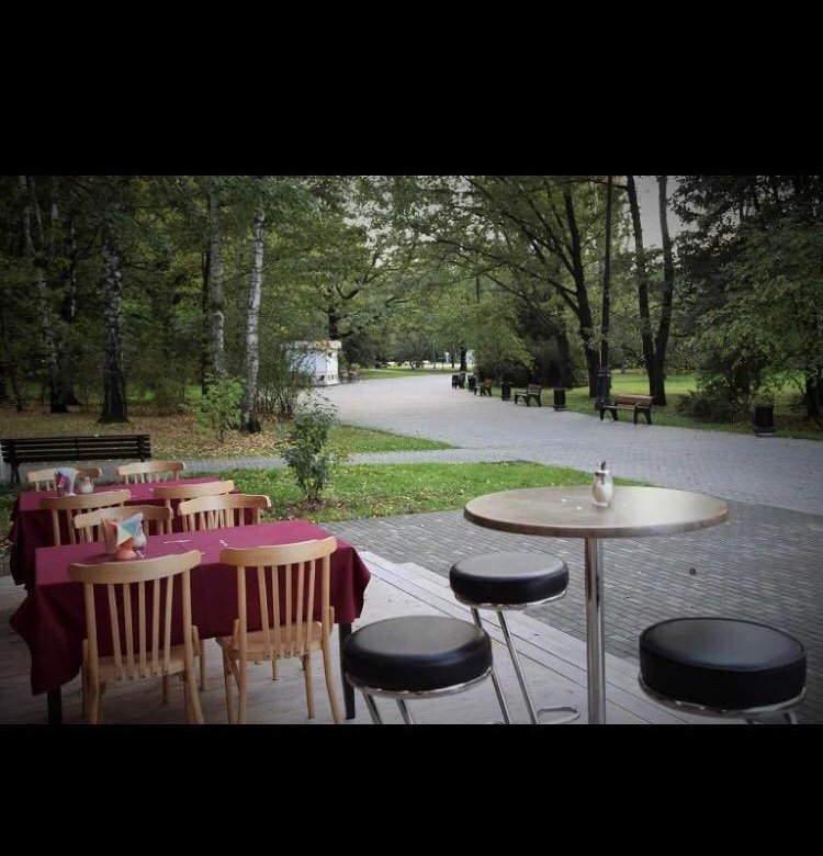 ресторан онегин ростов. чайная предприятие общественного питания. кафе в ростове на дону. кафе работа ростов на дону. кафе лео ростов-на-дону.