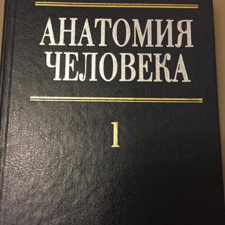 Сапин анатомия 2020. Анатомия человека м.р Сапин , г.л Билич том 2. Анатомия человека 2 том Сапин Билич. Сапин анатомия человека. Анатомия человека Сапин 1 том.