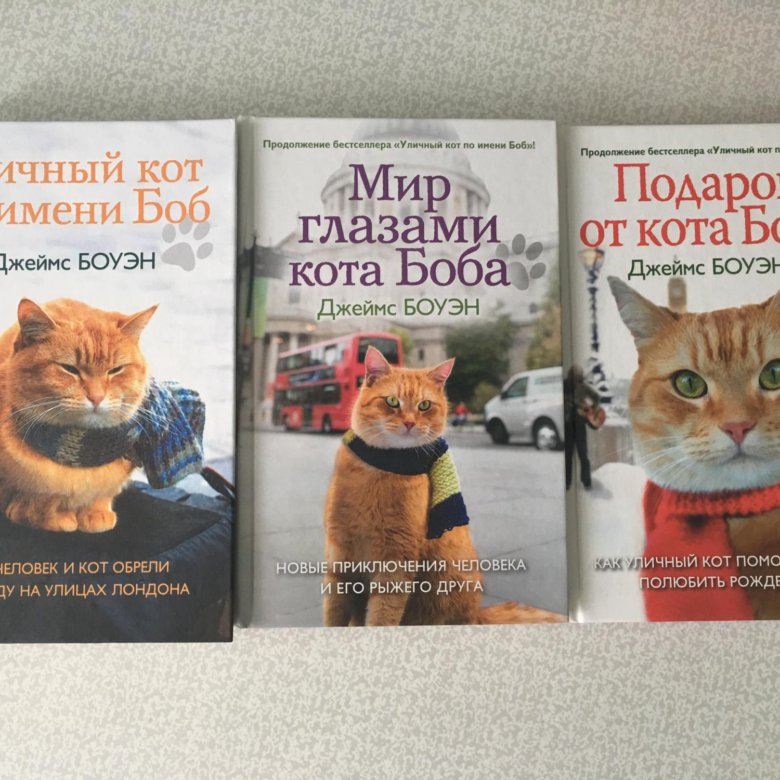 Книга про боба. Книга кот Боб 2 часть. Уличный кот по имени Боб книга. Уличный кот по кличке Боб книга. Все книги про кота Боба.