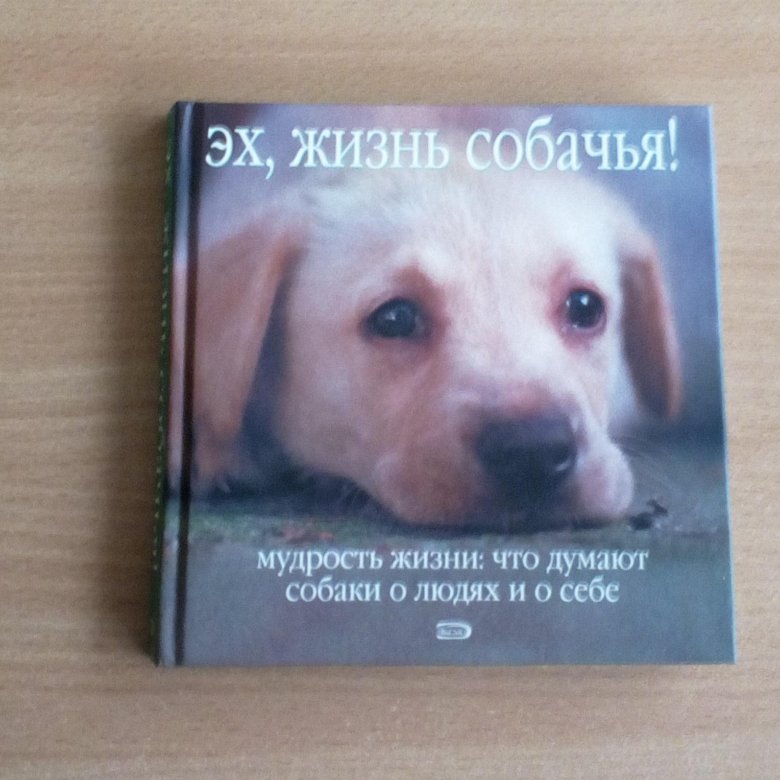 Книга собачья мудрость. Книга жизнь собаки. Собачья жизнь книга. Эхо собак книга.