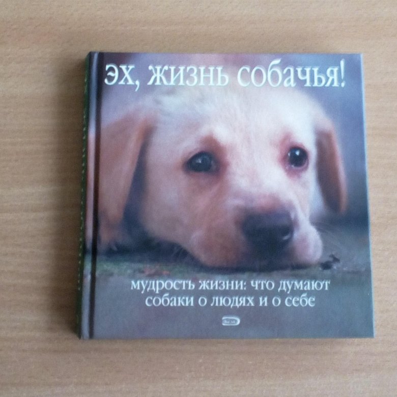 Жизнь собаки книга