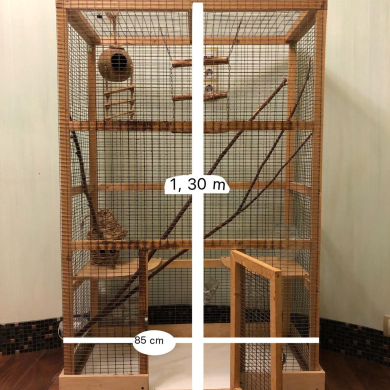 Клетка для белки своими руками схема и размеры